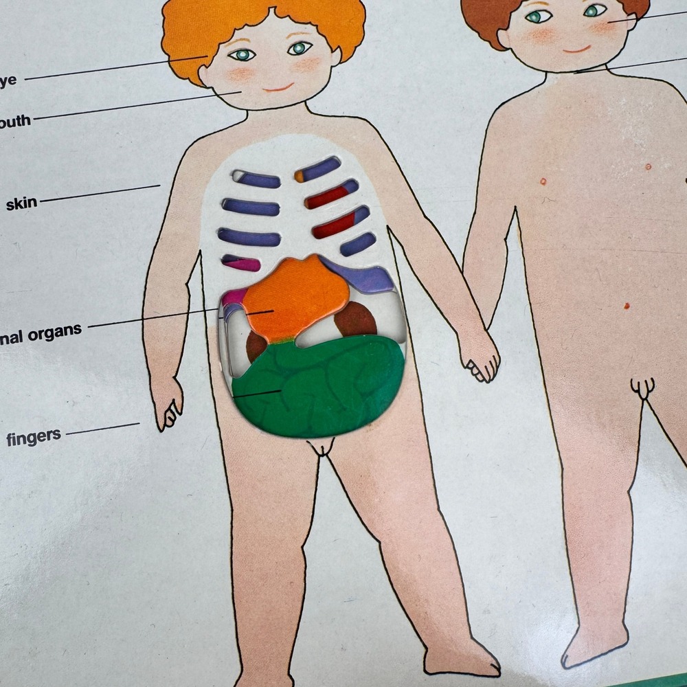 Vtg Hardcover Cardboard Look Inside Your Body Learn Anatomy Kids Spiral Spine - Picture 9 of 12